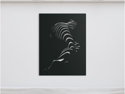 Abstraktný obraz na stenu Pruhy (Dimensioni del quadro 86,5 x 65 cm, Colore del quadro Antracite)