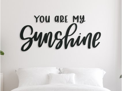 Nápis na stenu You are my sunshine (Dimensioni del quadro 38 x 85 cm, Colore del quadro Antracite)