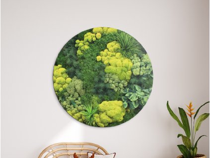 Okrúhly machový obraz Zeleň (UV tlač) (Dimensioni del quadro 89 x 89 cm, Finitura 3D)