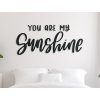 Nápis na stenu You are my sunshine (Dimensioni del quadro 38 x 85 cm, Colore del quadro Antracite)