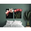 Dvojdielny obraz Romantické tulipány (Dimensioni del quadro 89 x 146 cm, Finitura 3D)