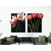 Dvojdielny obraz Romantické tulipány (Dimensioni del quadro 89 x 146 cm, Finitura 3D)