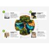 Quadro da parete Ring rosso (Dimensioni del quadro 38 x 16,5 cm, Finitura Opaco)