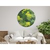 Okrúhly machový obraz Zeleň (UV tlač) (Dimensioni del quadro 89 x 89 cm, Finitura 3D)