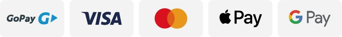 GoPay, Visa, Mastercard, Apple Pay, Google Pay