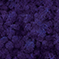 Fialová