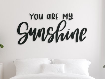 drevený nápis na stenu You are my sunshine 02