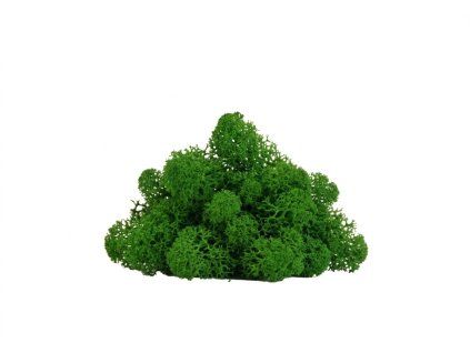 Lišajník zelená (3)