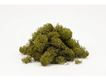 Lišajník stredne zelená