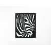zebra1