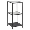 Malý kovový regál Seaford 3 - číra / čierna
