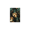 64192 obraz luxusna monstera
