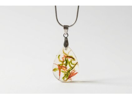 956de9eb 584b 4405 b727 e5ce8b61deed