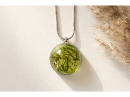 6e10901d b49a 4b08 bbad 7cc10dfcd901