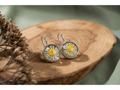 f53854d1 07f4 4089 b726 c107cf7b5122 (1)