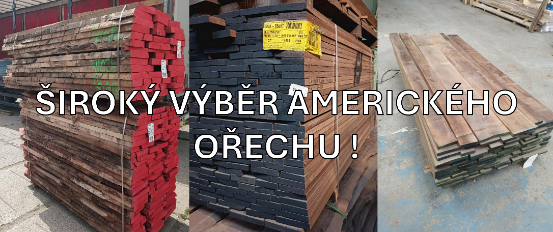 OŘECH AMERICKÝ
