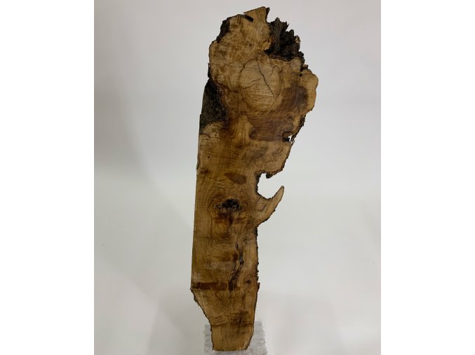 Oliva kusovka rozměrech cca tl. 50mm; š.350mm x dl.1200mm (brán rámeček kolem celého kusu)