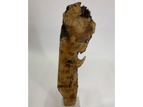 Oliva kusovka rozměrech cca tl. 50mm; š.350mm x dl.1200mm (brán rámeček kolem celého kusu)