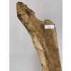 Oliva kusovka - o rozměrech cca  310 mm x 1160 mm (brán rámeček kolem celého kusu)