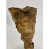 Oliva kusovka rozměrech cca tl. 50mm; š.300mm x dl.1140mm (brán rámeček kolem celého kusu)