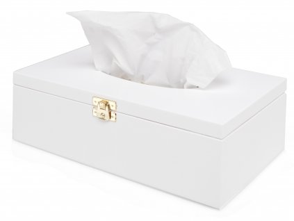 Dřevěná krabička na papírové kapesníky bílá s panty a zapínáním