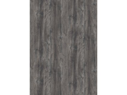 H1486 ST36 Pinie Pasadena