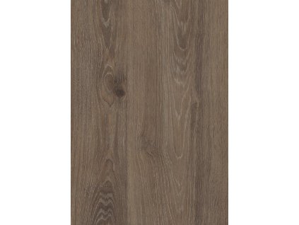 H3133 ST12 Dub Davos lanžßovoh.