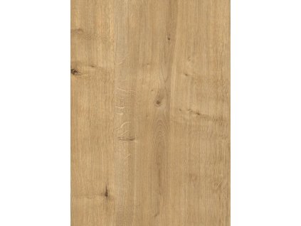 H3303 ST10 Dub Hamilton pż°rod.