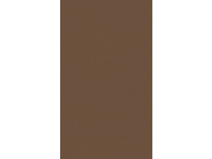 DTDL F528 ST20 Kov kartáčovaný bronzový 18x2070x2800mm