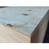 Překližka vodo-obal 20 x 1250 x 2500 mm bříza