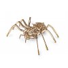 11733 3 drevene mechanicke 3d puzzle pavouk