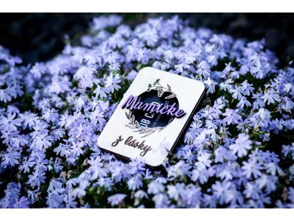 Krabička na darčekovú kartu