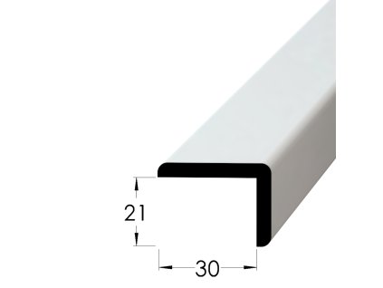 r 3021a