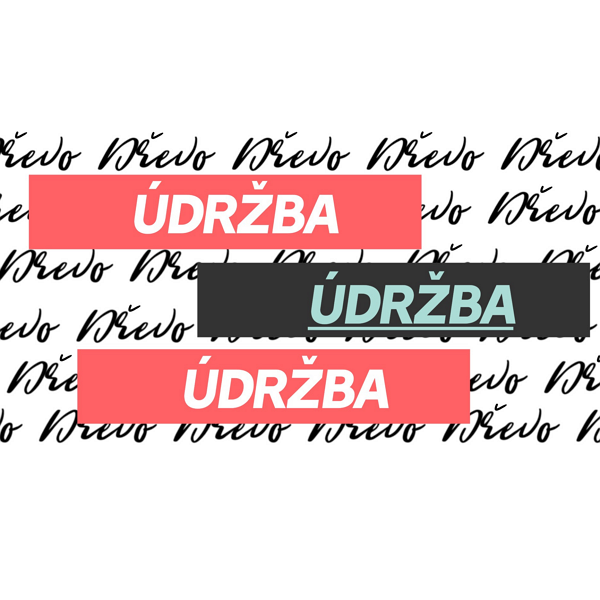 BLOG: Základní údržba dřevěného načiní