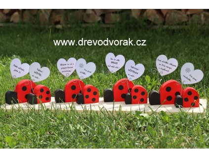 Řekni to beruškou / broučkem
