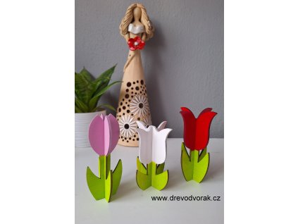 Tulipánek 3D