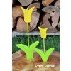Dřevěný tulipán
