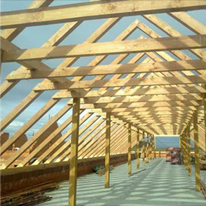 Odborná správa lesů dle zákona