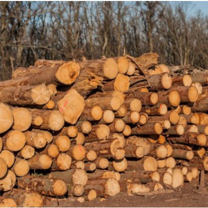 mekke palivove drevo v kladach