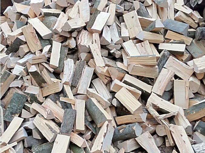 smrk, borovice, modřín - 50cm