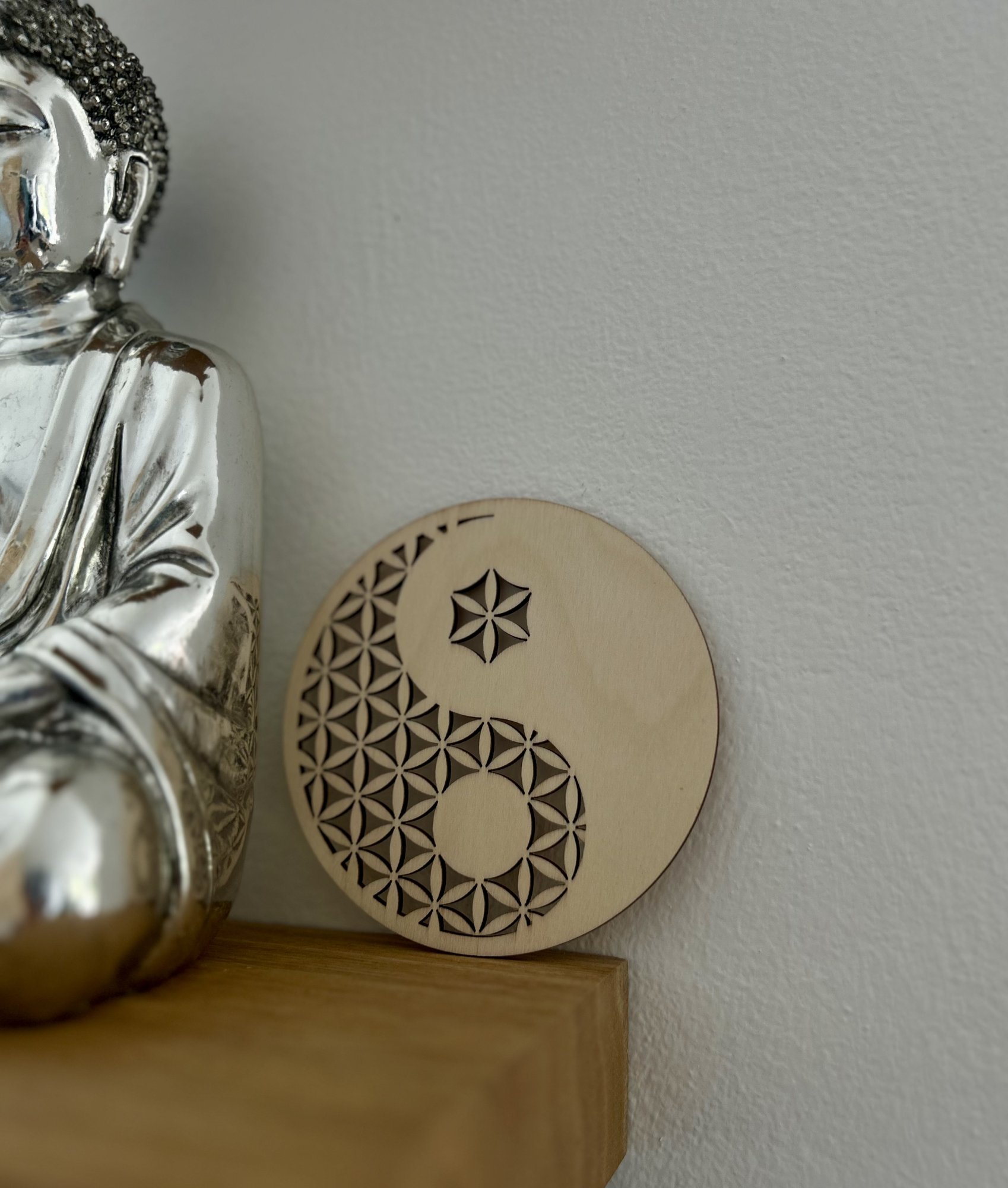 Jin a Jang v domově