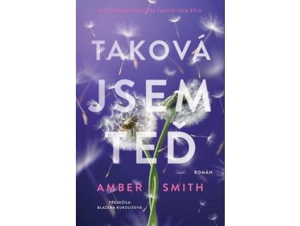 Taková jsem teď  Taková jsem teď - Amber Smith