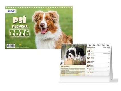 Psí plemena kalendář 2026 - stolní kalendář  Psí plemena kalendář 2026 - stolní kalendář