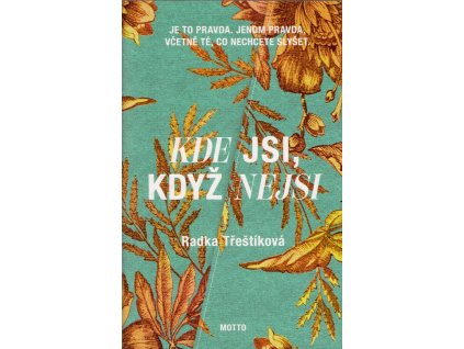 Kde jsi, když nejsi  Kde jsi, když nejsi   -  Radka Třeštíková