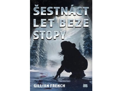 Šestnáct let beze stopy  Šestnáct let beze stopy - French Gillian