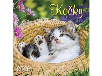 Kočky 2026 - nástěnný kalendář  Kočky 2026 - nástěnný kalendář