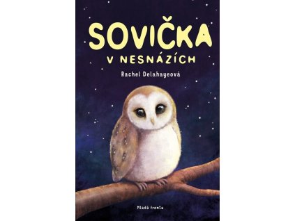 Sovička v nesnázích  Sovička v nesnázích   -  Rachel Delahaye