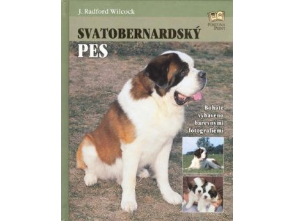 Svatobernardský pes  Svatobernardský pes