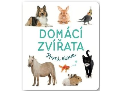 Domácí zvířata První slova  Domácí zvířata První slova