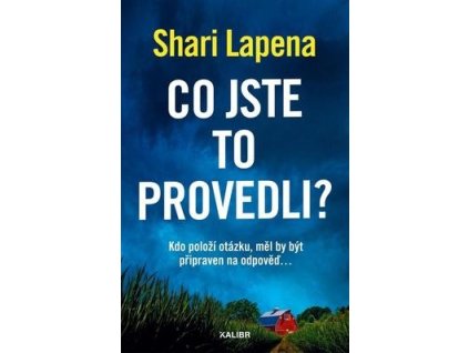 Co jste to provedli?  Co jste to provedli? - Shari Lapena